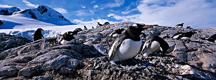 《装甲核心6》限定收藏版内容公开 机甲雕像精致极品