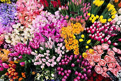 “喜加一”周报（9.26-10.2）：东方斩妖到豪门谋杀