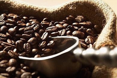 《东京时笼》二部曲Switch版免费体验发布 好评文字冒险